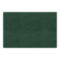 Carpets for Kids Mt. St. Helens Rectangle Classroom Rug, Emerald