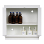 Just-Rite 24010 Undercounter Two Door Corrosives Acids Poly Safety Cabinet, Thiry-Six 2-1/2 Liter Bottles, White