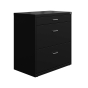 Hirsh SOHO File-File-Pencil 30" Wide Arc Pull Lateral File Cabinet, Black