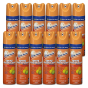 Chase Scientific Clean Home Disinfectant Spray, 19 oz Bottle, Citrus Scent (12-Pack Case)