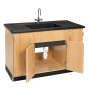 Diversified Woodcrafts Science Lab Clean-Up Sink