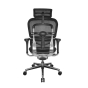 Eurotech ErgoHuman Multifunction Mesh-Back Leather High-Back Office Chair, Headrest