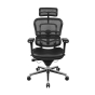 Eurotech ErgoHuman Multifunction Mesh-Back Leather High-Back Office Chair, Headrest