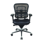 Eurotech ErgoHuman Multifunction Mesh-Back Leather Mid-Back Executive Office Chair