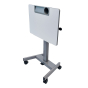 Luxor 28" W x 20" D Tilting Pneumatic Sit-Stand Student Desk, 29" - 44" H