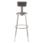 NPS 25" - 33" Height Adjustable Padded Round Science Lab Stool, Backrest