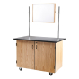 NPS Mobile Science Cabinet with Shelving, Whiteboard/Mirror