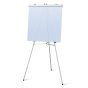 Testrite 67" Aluminum Flip Chart and Display Easel Stand, Silver