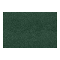 Carpets for Kids Mt. St. Helens 4' x 6' Rectangle Classroom Rug, Emerald