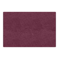 Carpets for Kids Mt. St. Helens Rectangle Classroom Rug, Cranberry