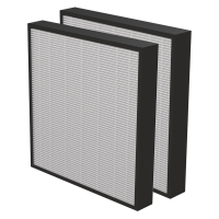 Fellowes AeraMax Pro 2" HEPA Filter with Antimicrobial Treatment, Pack of 2