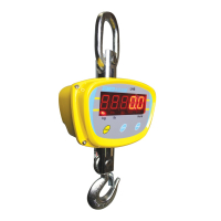 Adam Equipment LHS Hanging Scales, 1000 lbs. to 4000 lbs. Capacity