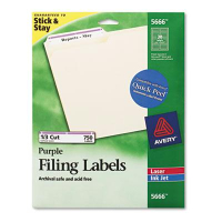 Avery 3-7/16" x 2/3" Self-Adhesive Laser & Inkjet File Folder Labels, Purple Border, 750/Pack