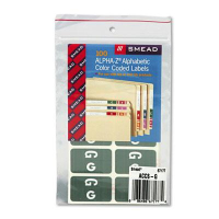 Smead 1" x 1-3/5" Letter "G" Color-Coded Second Letter Labels, Gray, 100/Pack