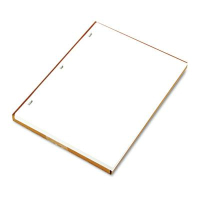 Wilson Jones 8-1/2" x 11", 100-Sheets, White Minute Book Ledger Paper
