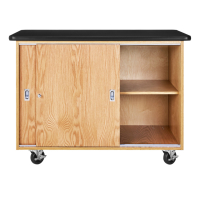 Diversified Woodcrafts Platic Laminate Top 2-Door Mobile Storage Science Lab Cabinet