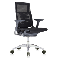 Eurotech Powerfit High-Back Mesh Executive Office Chair, Black Frame (Shown in Black)