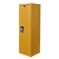Hallowell Teen Storage Locker, Unassembled 15" W x 15" D x 48" H
