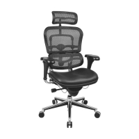 Eurotech ErgoHuman LEM4ERG Multifunction Mesh-Back Leather High-Back Office Chair, Headrest