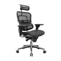 Eurotech ErgoHuman Multifunction Mesh High-Back Deluxe Office Chair, Headrest (Shown in Black)