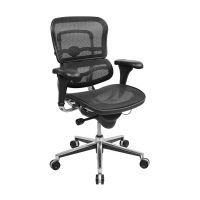 Eurotech ErgoHuman Multifunction Mesh Mid-Back Office Chair (Shown in Black)