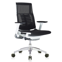 Eurotech Powerfit High-Back Mesh Executive Office Chair, White Frame (Shown in Black)