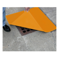 Eagle StormNest Drain Covers (example of application)