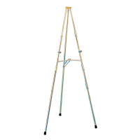 Testrite 72" Steel Easel Stand, Brass-Plated
