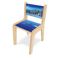 Whitney Brothers Nature View Winter 14" H Student Chair