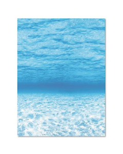 Pacon Fadeless Designs 48" x 50 ft. Under the Sea Bulletin Board Paper Roll