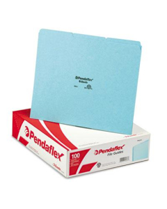 Pendaflex Blank 1/3 Top Tab Letter File Guides, Pressboard, 100/Box