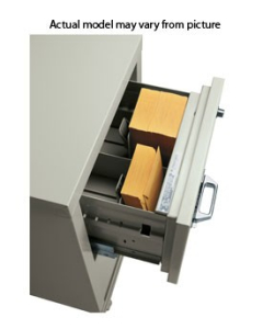 FireKing 2-Section Insert for 5" H x 9-3/4" W Cards for Card/Check Files