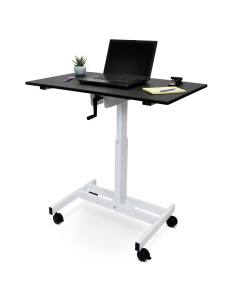 Luxor 40" W x 24" D Crank 30" - 45.25" Height Adjustable Standing Desk